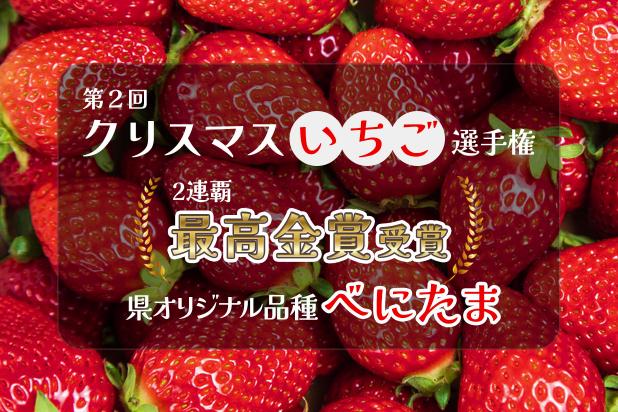 第2回クリスマスいちご選手権。2連覇最高金賞受賞。県オリジナル品種べにたま