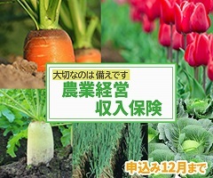 農業経営収入保険