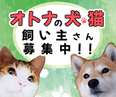 オトナの犬・猫の飼い主さん募集