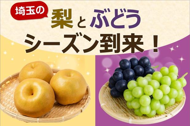 埼玉の梨とぶどうシーズン到来！