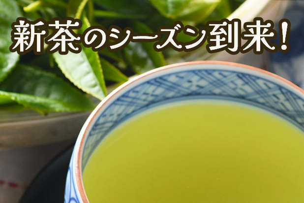 新茶のシーズン到来！