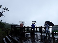 雨の中のカメラマン
