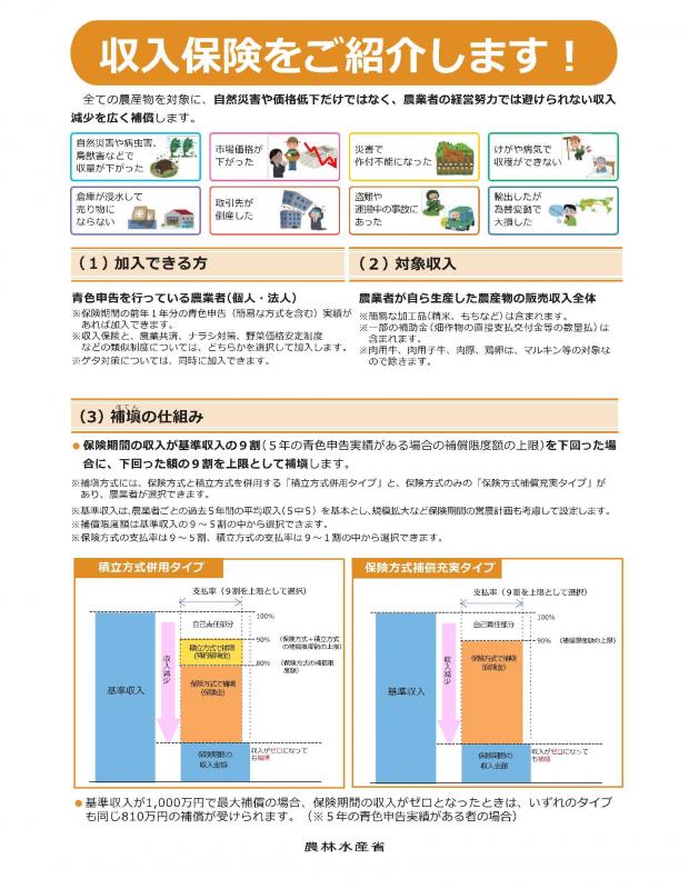 shunyuhoken01