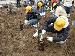 植栽の様子（菖蒲南部産業団地）