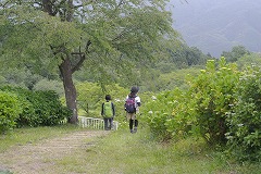 アジサイ園地を散策するハイキング参加者