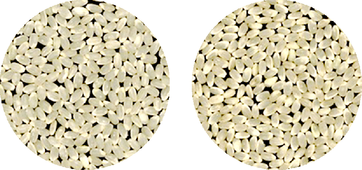 高温被害を受けた玄米