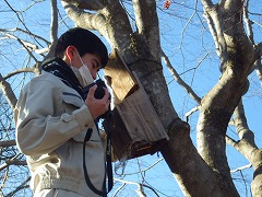 巣箱の中を写真におさめる様子