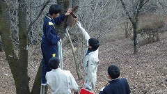 巣箱を清掃する様子