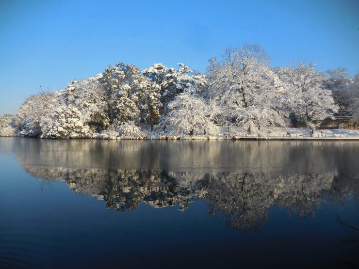 30年1月23日の積雪3