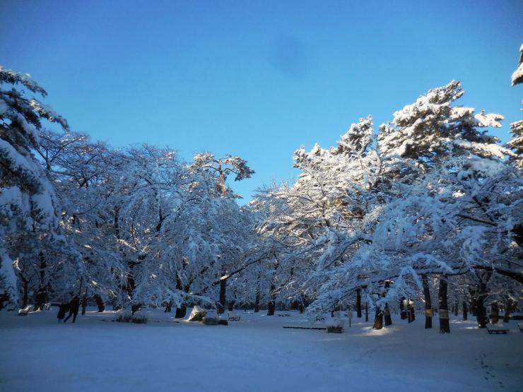 30年1月23日の積雪4