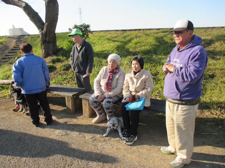 木製ベンチに憩う様子