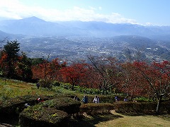 ハイキング登る様子