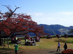 山頂での紅葉