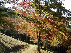 紅葉のみはらし園地