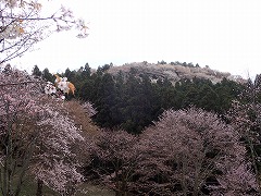 見晴らし園地からの眺め