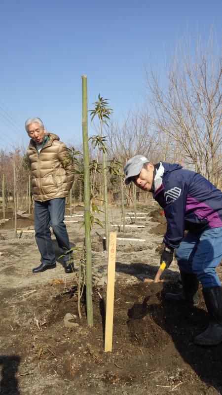 記念植樹