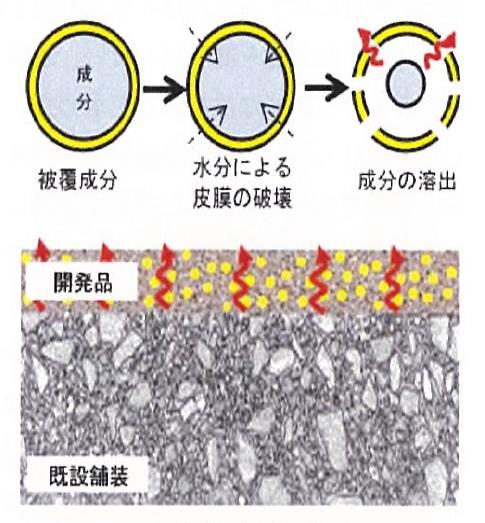 フリーズオフコートの画像