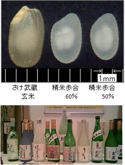 さけ武蔵玄米・精米と製品写真