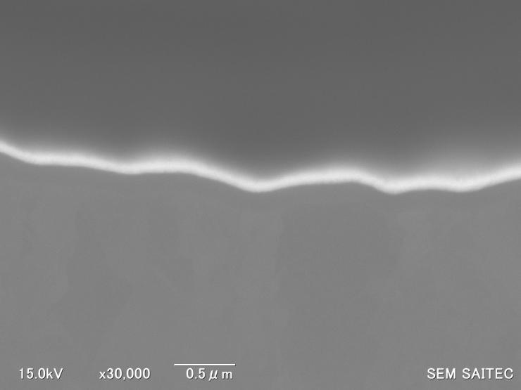 30000倍の反射電子像