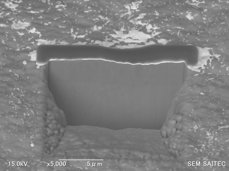 5000倍の反射電子像