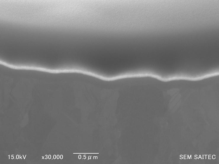 30000倍の二次電子像