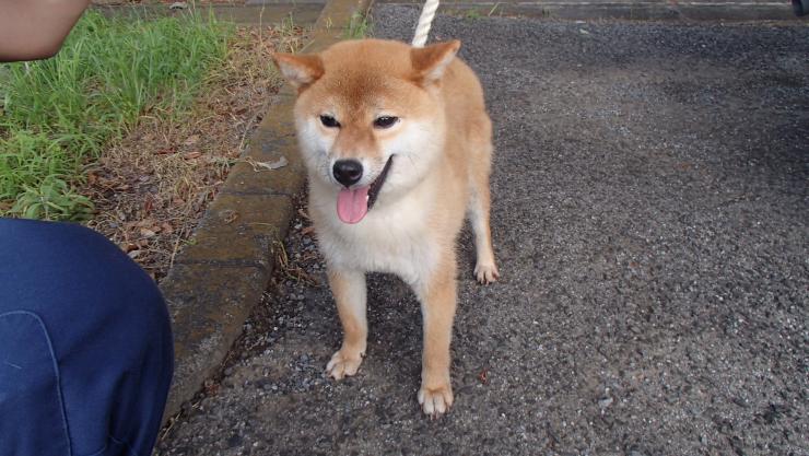 kao