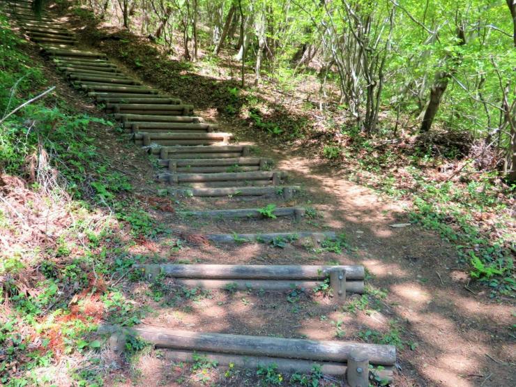 大霧山に登る道（首都圏自然歩道）白石峠からの歩道