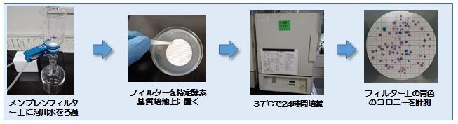 特定酵素基質培地法の測定手順の図