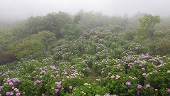 展望台からの色づきすすむ園地