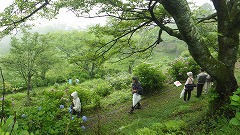 園地の散策を楽しむ来園者