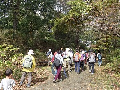 紅葉の中のハイキング