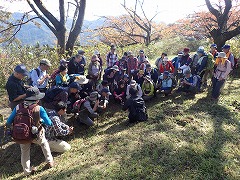 植物観察会で観察をする様子