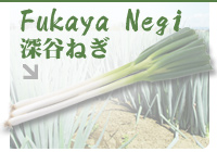 Fukaya Negi