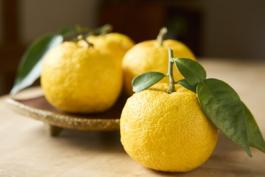 ゆずサムネイル