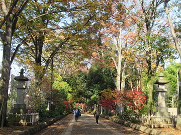 氷川参道