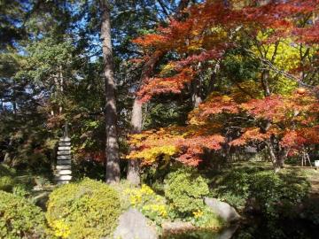 日本庭園の紅葉