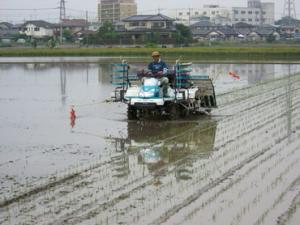 田植機による田植えの写真