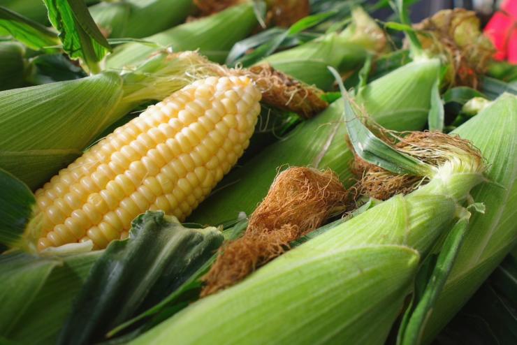 とうもろこし