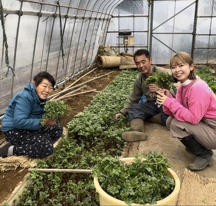 栄ちゃん家のお野菜〜ISHII FARM〜3