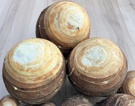 丸系八つ頭サムネイル