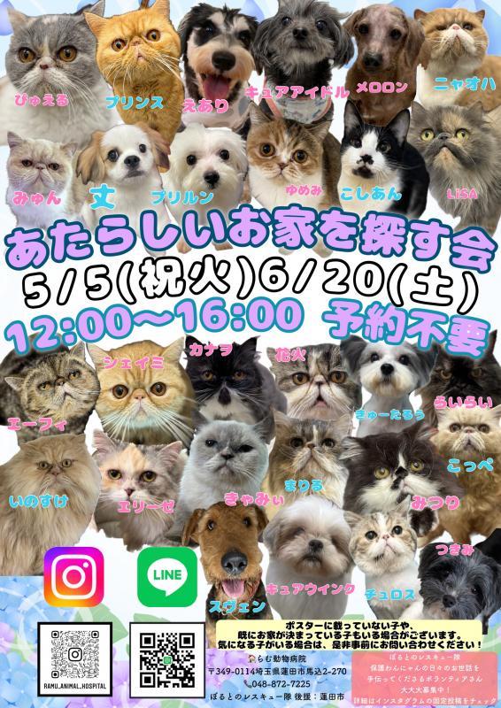 borutonokakurega.jpg