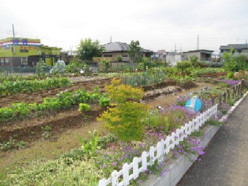 市民農園（園芸用土の利用例）