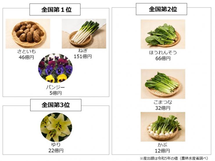 埼玉県産農産物の産出額品目別