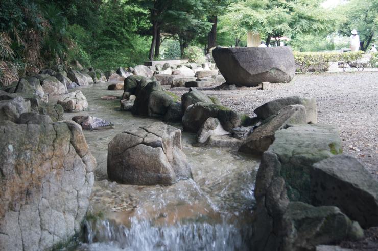 若泉運動公園せせらぎ広場