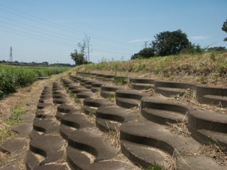 大落古利根川の親水護岸の外観