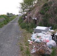 道路わきへの不法投棄