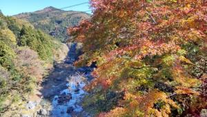 神川町紅葉