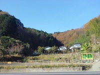 つぶらだ風景