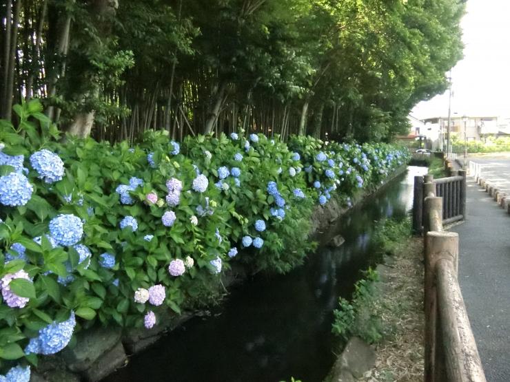 遊歩道