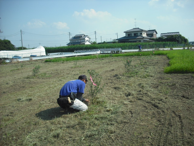 埼玉福興津島さん